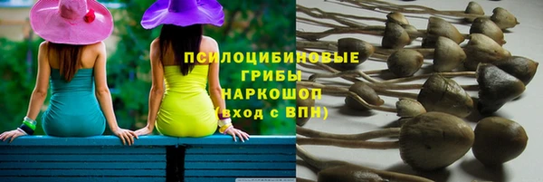 бошки Алексин