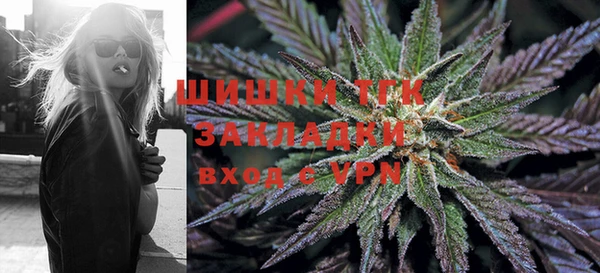 индика Алзамай