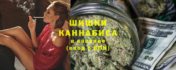 бошки Алексин