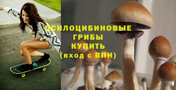 ECSTASY Алексеевка