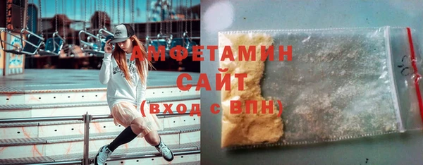 индика Алзамай