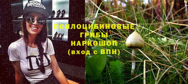 индика Алзамай