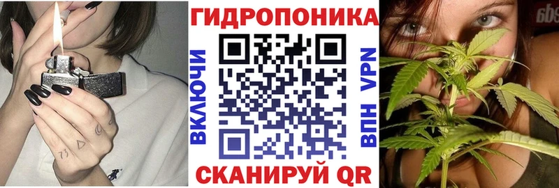 Конопля ГИДРОПОН Яхрома